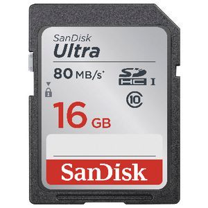sd card (16gb, class 10)